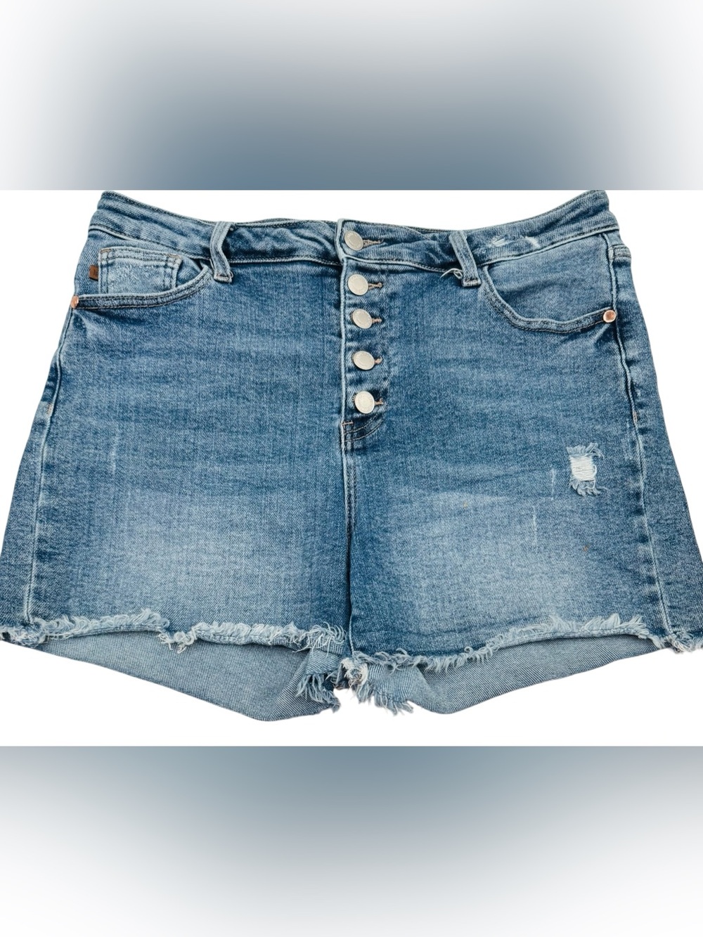 Judy Blue Button Fly Cut Of Distressed Shorts 12” Rise 4” Inseam Size XL 13-15